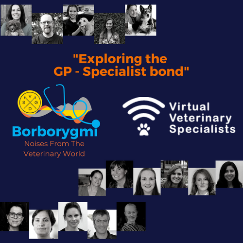 Borborygmi is back! Exploring the GP - specialist bond